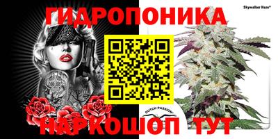 индика Кунгур
