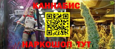 индика Кунгур
