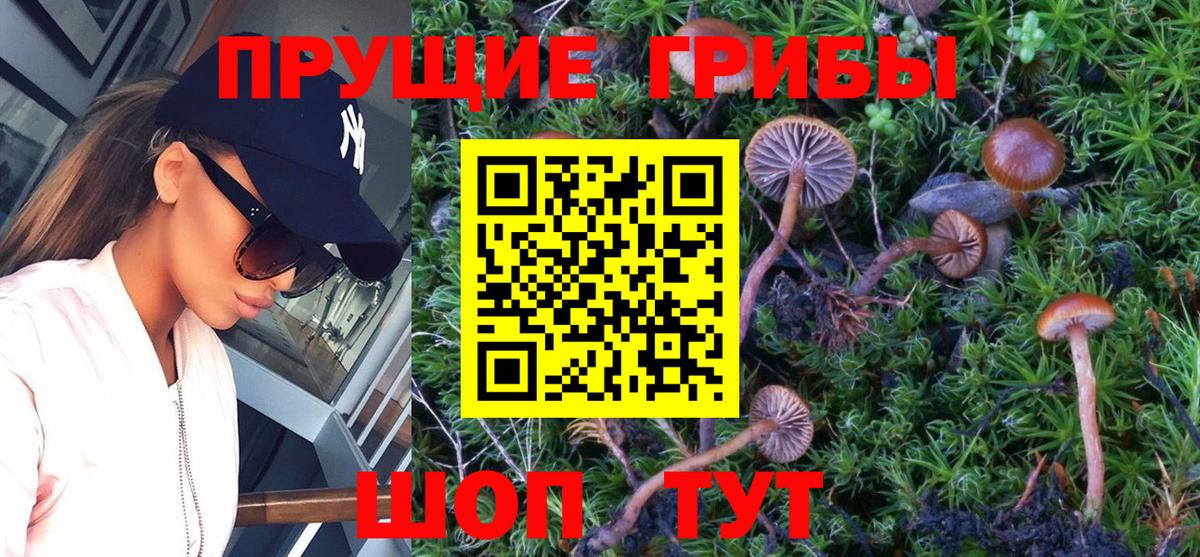 Галлюциногенные грибы Magic Shrooms  Вход с VPN  Жуковский 